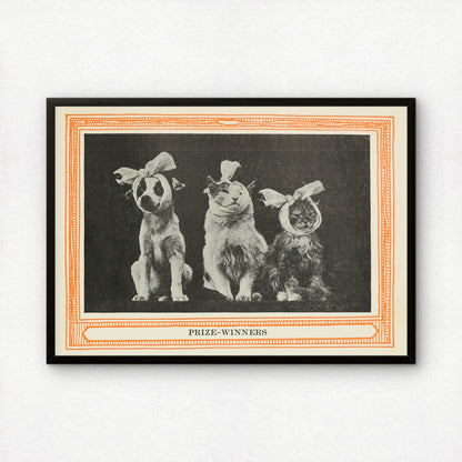 Funny Victorian Cat Art Print | 'Prize Winners' | Vintage Cat Meme Wall Art | Cat Lover Gift