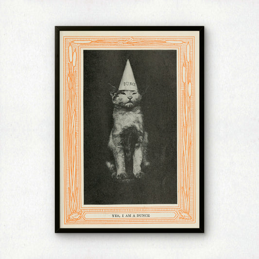 Funny Victorian Cat Art Print | 'Yes, I am a Dunce' | Vintage Cat Meme Wall Art | Cat Lover Gift