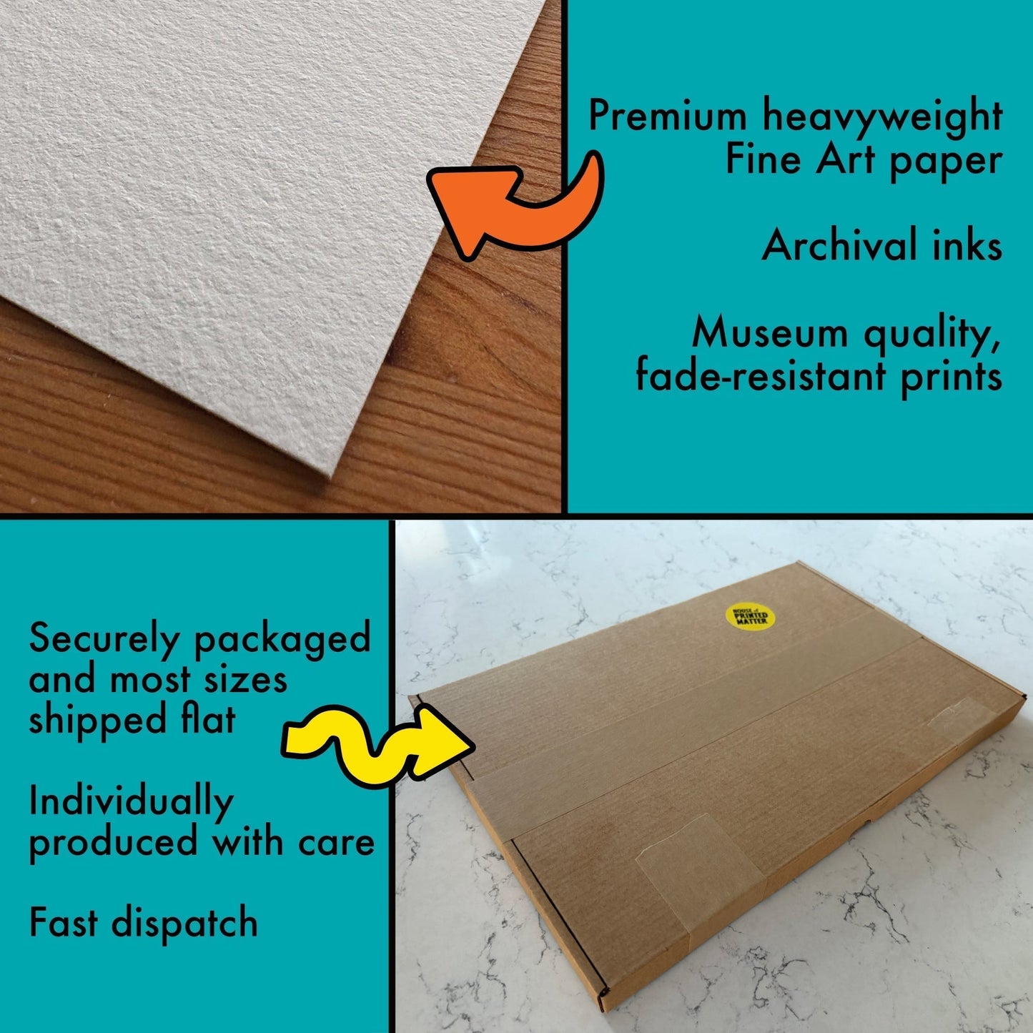 Ernst Haeckel Remixed Art Print 35: "Stars" | Natural History Print | Wall Art